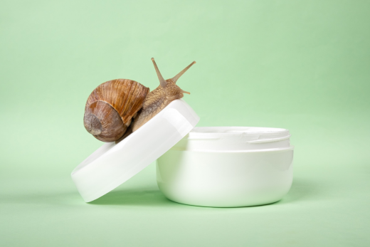 The Science Behind Korea’s Most Unconventional Skincare Ingredients