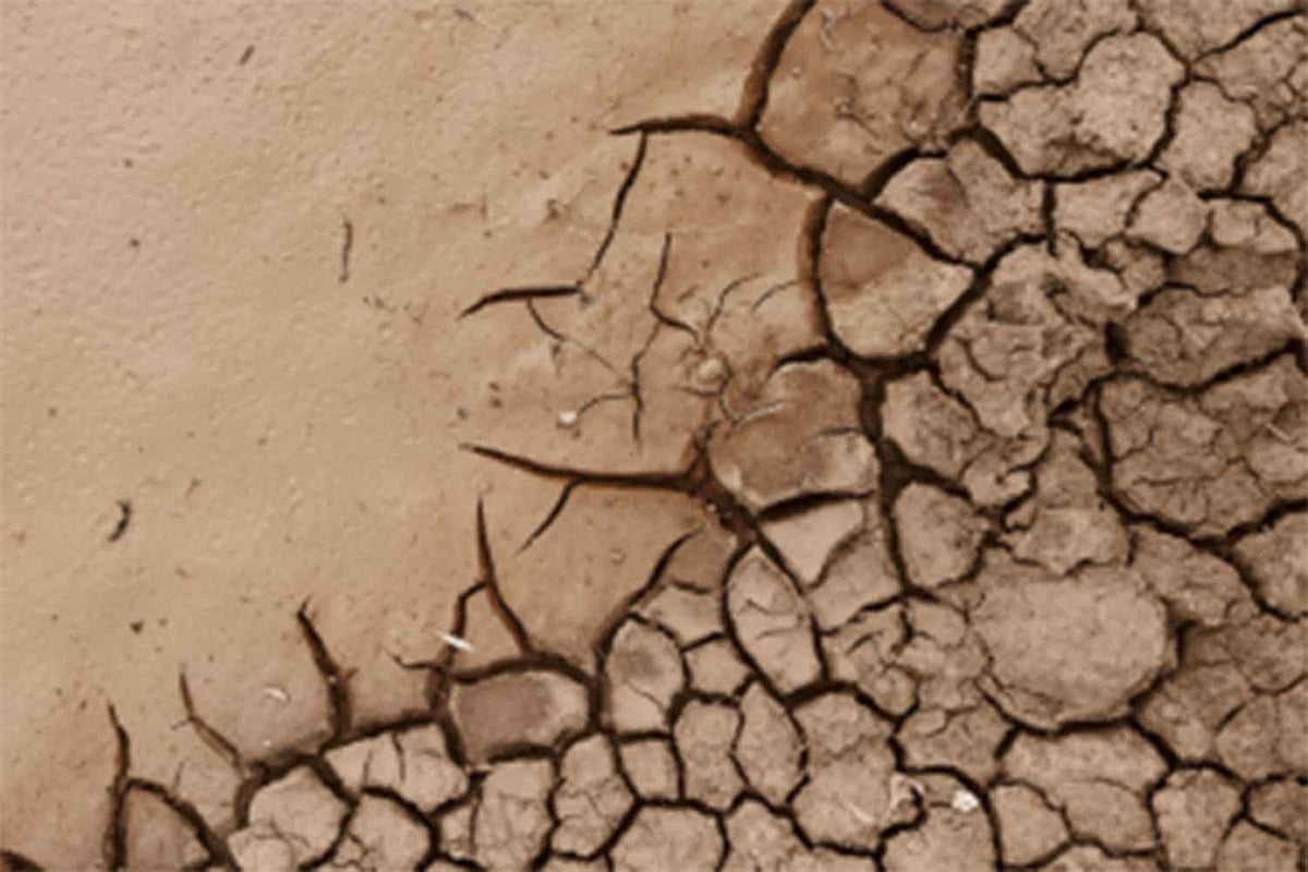 dry skin