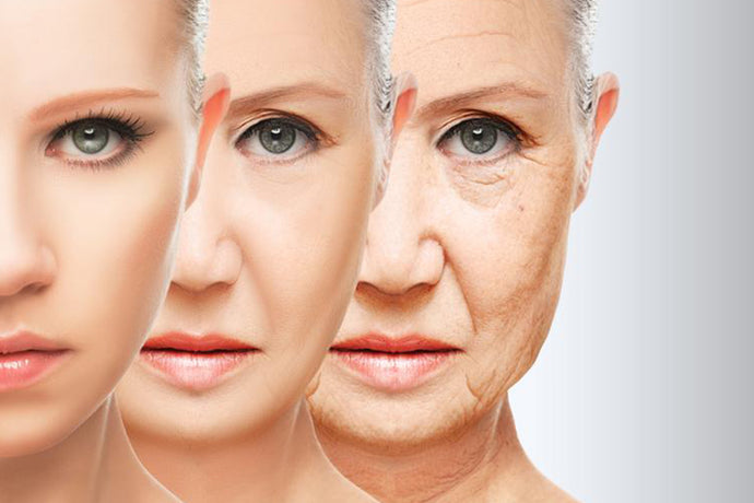 Oral supplements for ageing skin