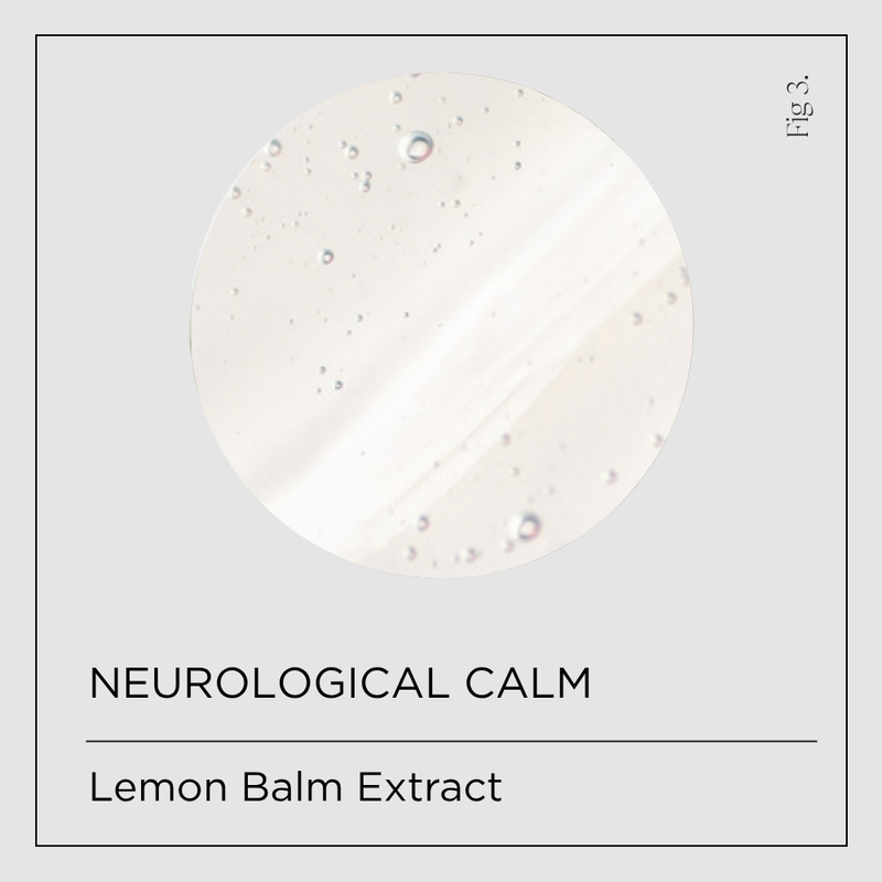 Lemon Balm Extract