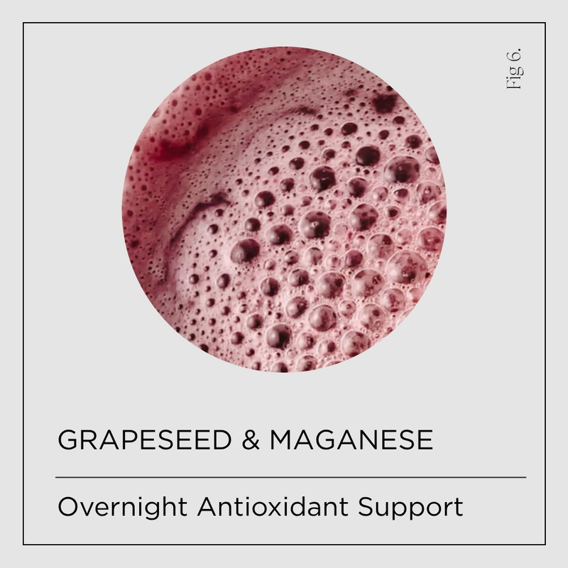 Grapeseed Extract + Manganese