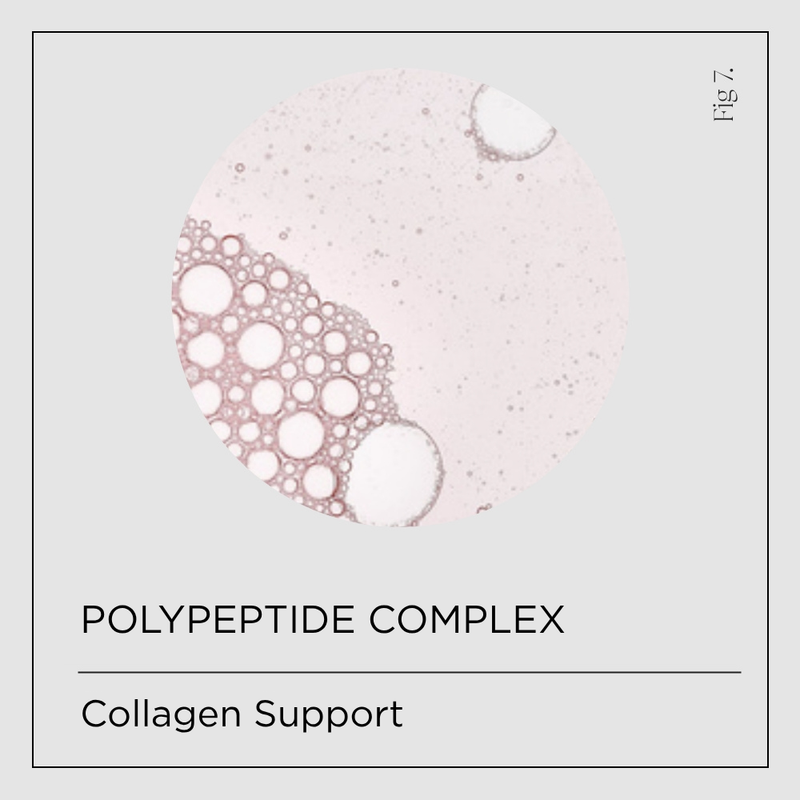 Polypeptide Complex