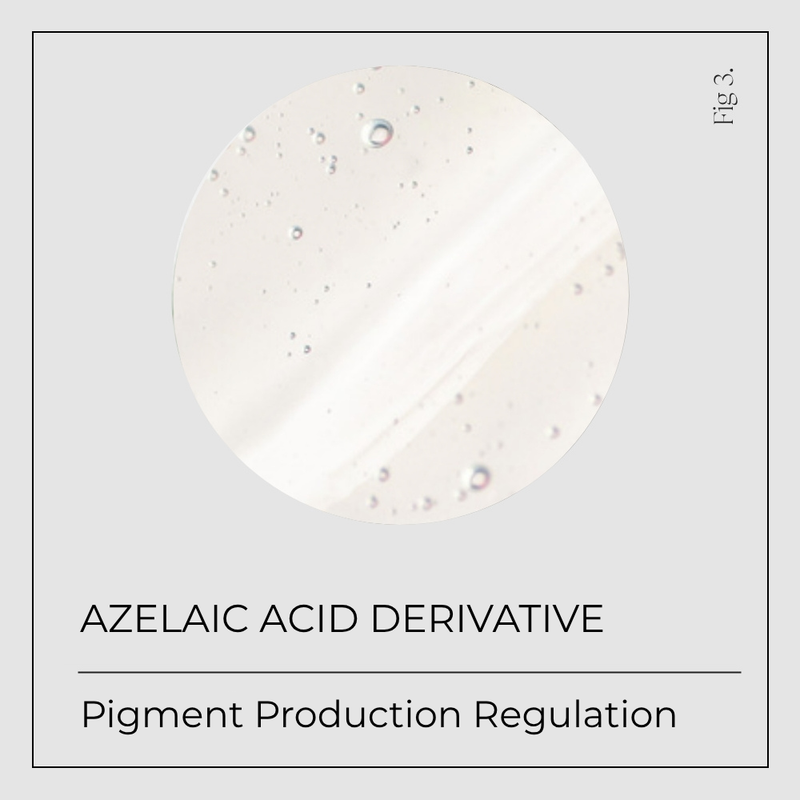 Azelaic Acid Derivative