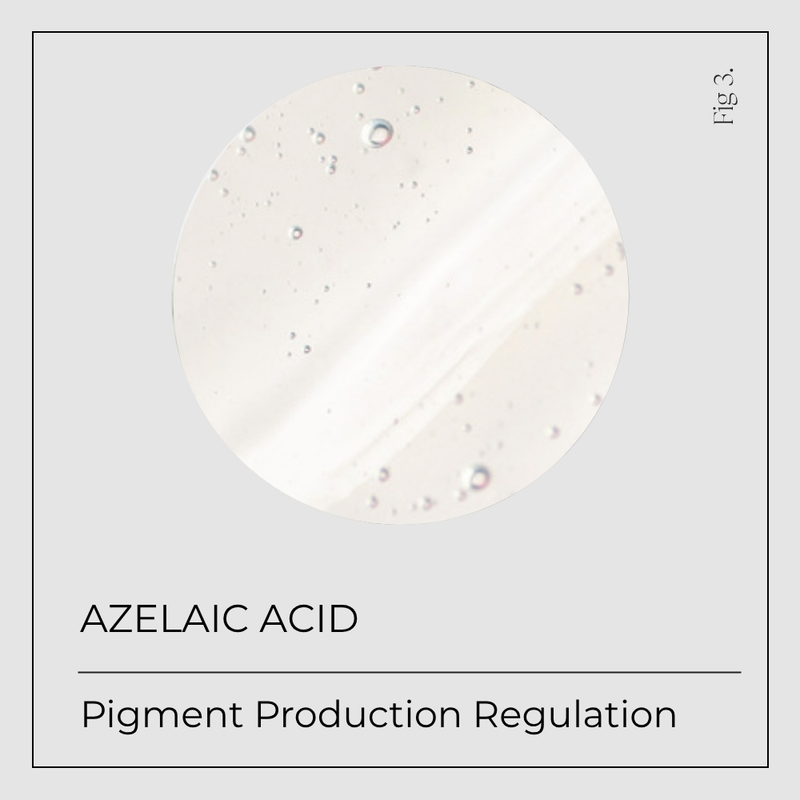 Azelaic Acid