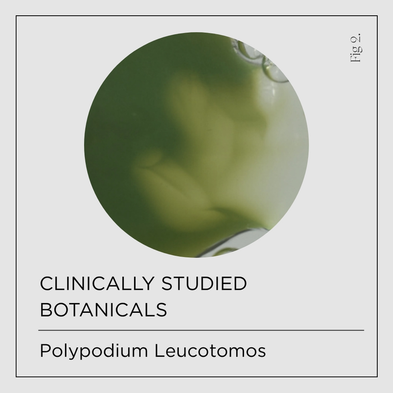 Polypodium Leucotomos Extract