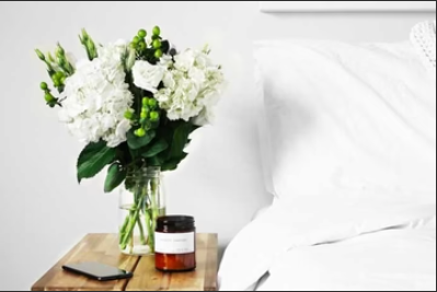 Beauty Sleep.png__PID:ae04f129-726e-42a9-9e79-0eaf4b57fa98