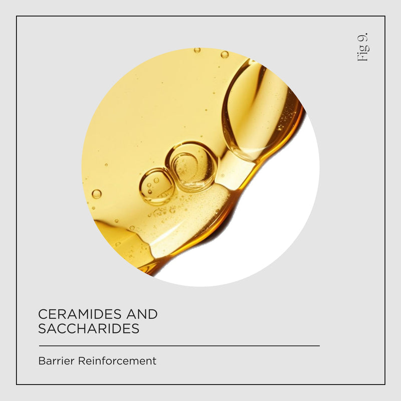 Ceramides