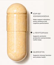 Load image into Gallery viewer, AM + PM Supplement System
