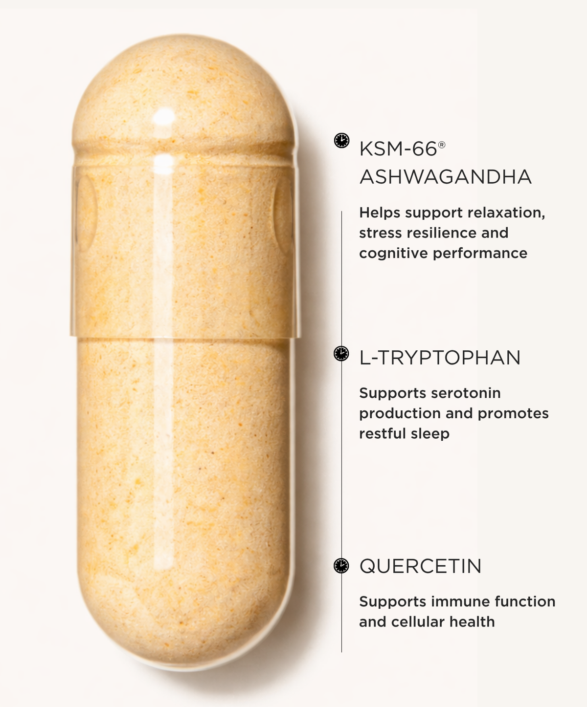PM Supplement