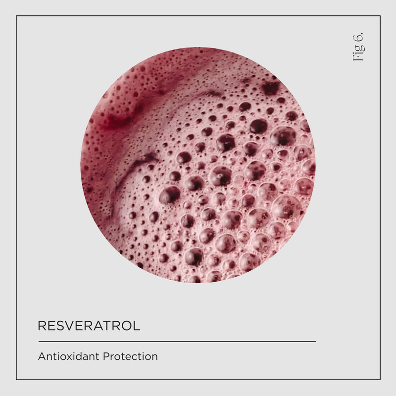 Resveratrol