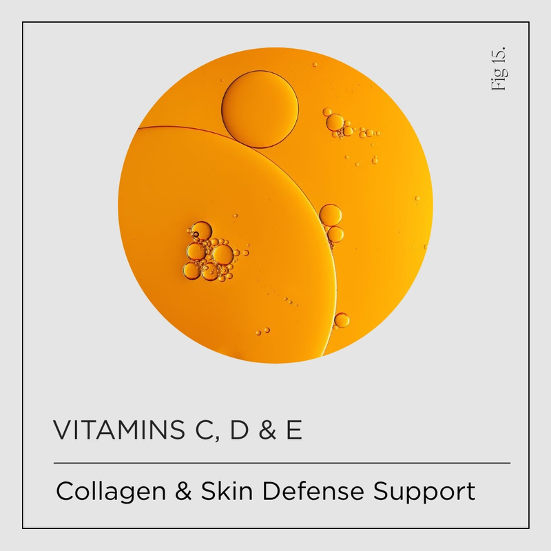 Vitamin c, d & e supplements